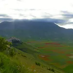 Farma Fonteantica